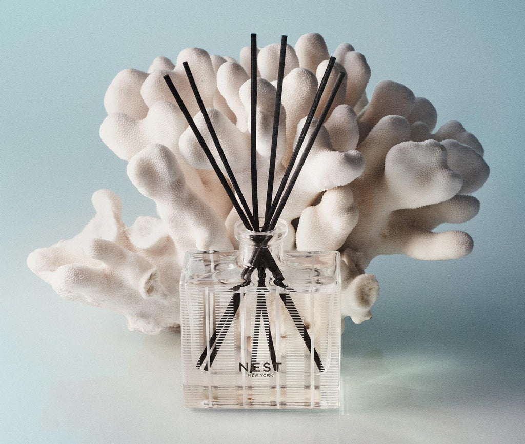 Ocean Mist & Sea Salt Reed Diffuser & Liquid Refill Set